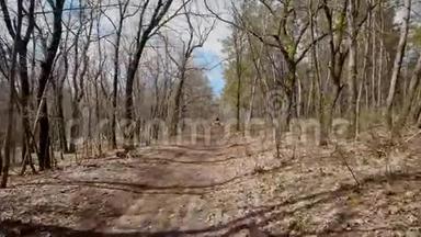 两名骑手正驾驶亚视，在森林中的公路上高速驶来。极限旅游迷